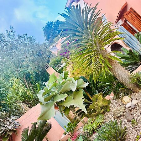 Il Giardino Davanti Al Mare オロゼーイ エクステリア 写真