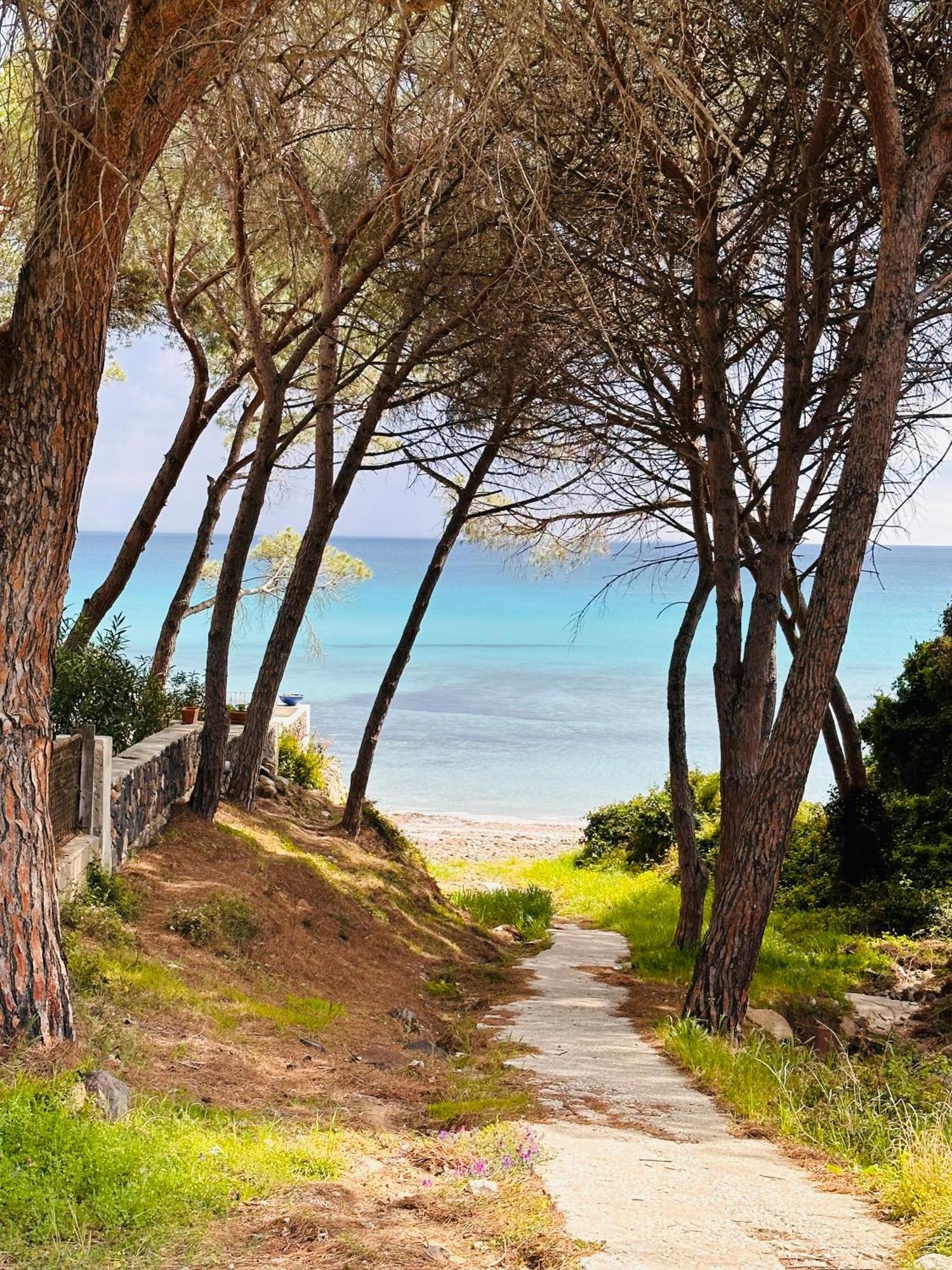 Il Giardino Davanti Al Mare オロゼーイ エクステリア 写真