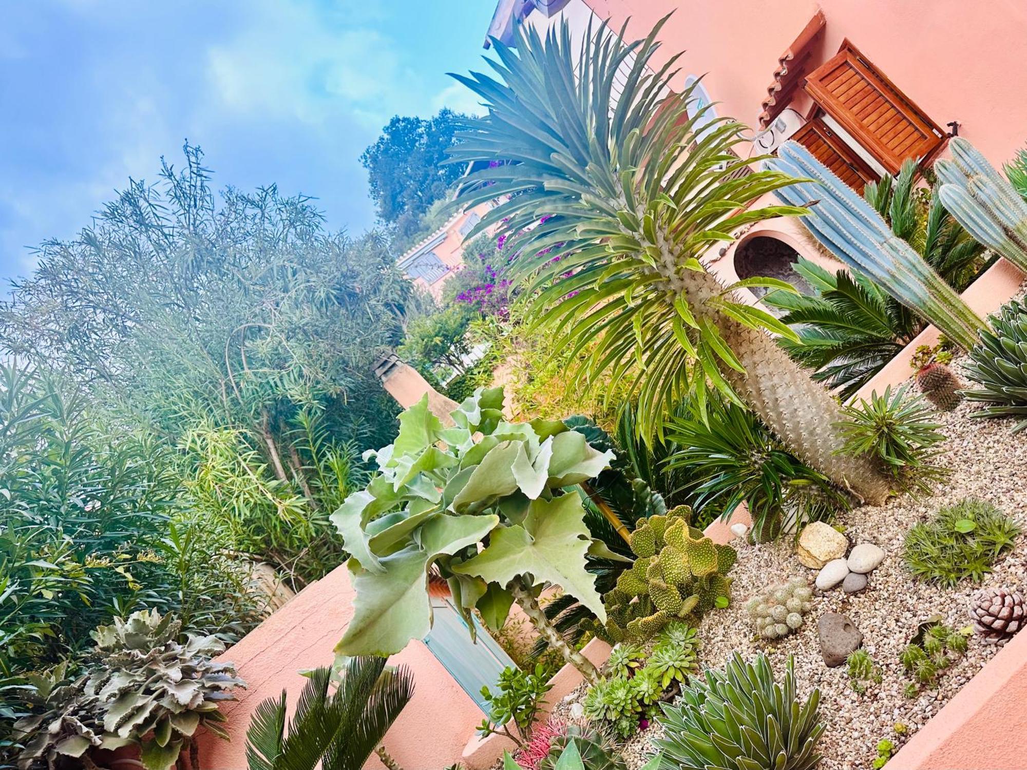 Il Giardino Davanti Al Mare オロゼーイ エクステリア 写真